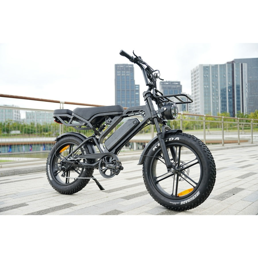 Agila Superb Fat Tyre Ebike