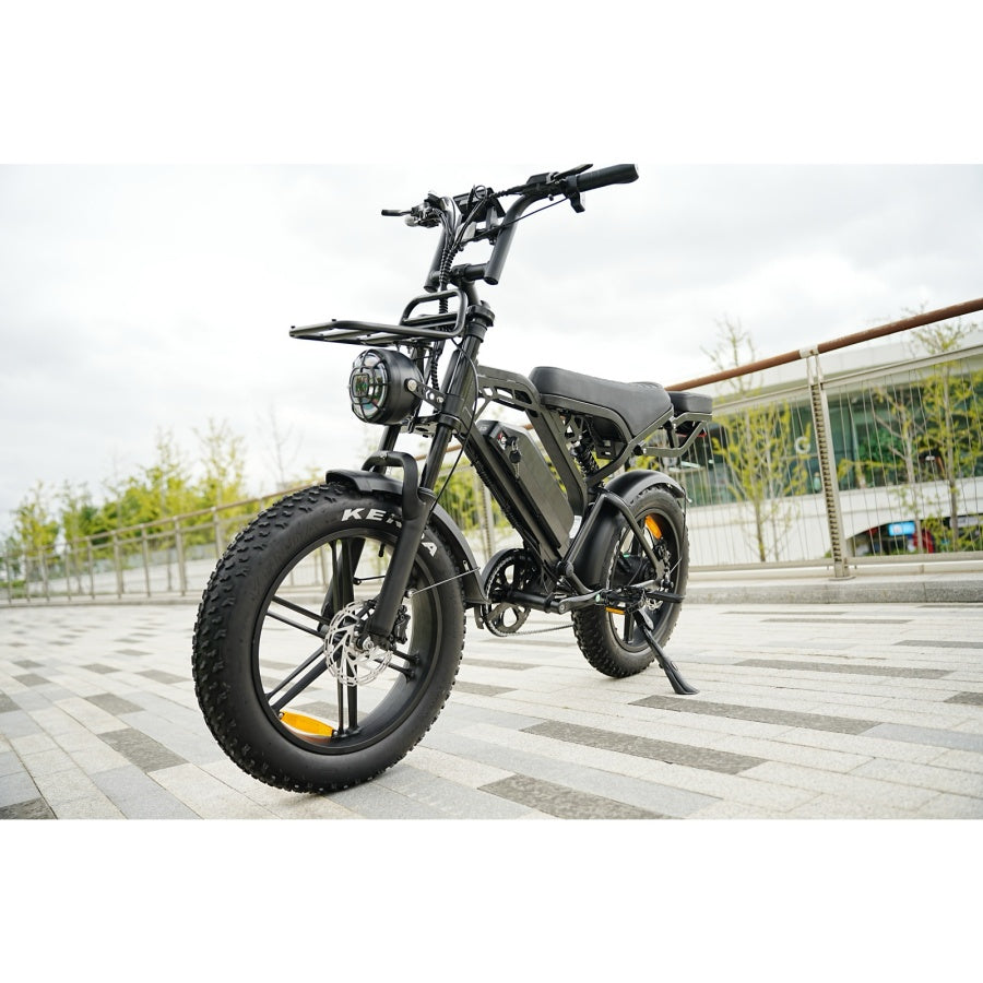 Agila Superb Fat Tyre Ebike