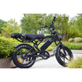 Agila Ranger Fat Tyre Ebike