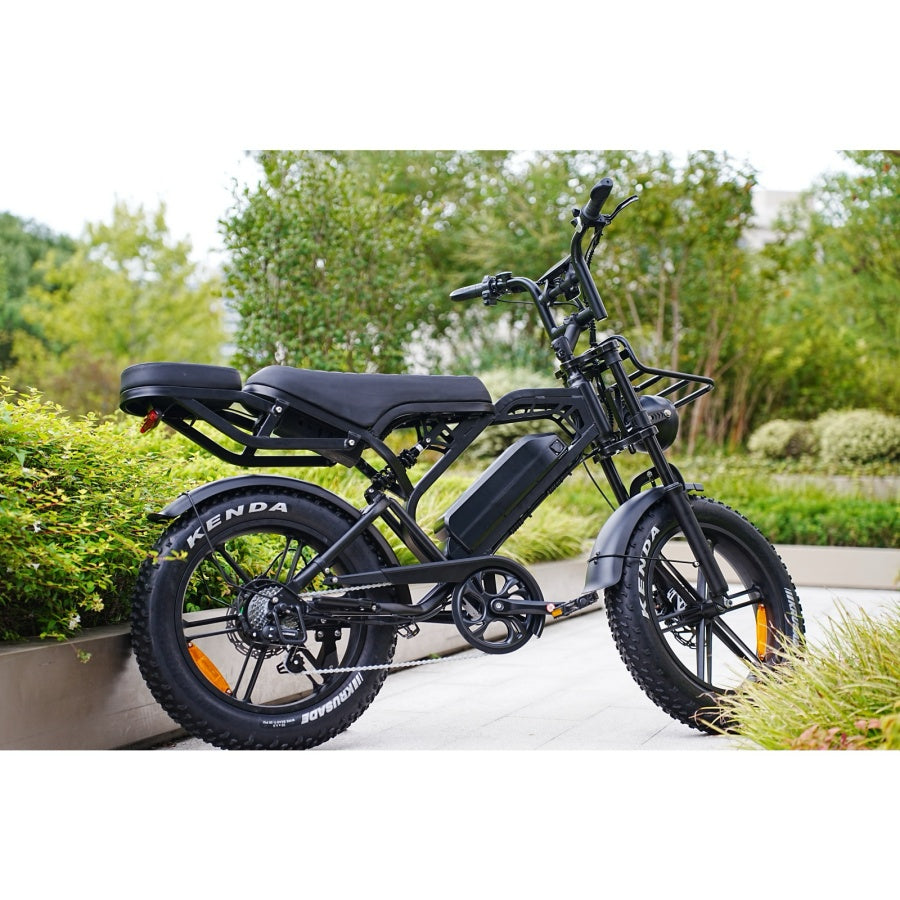 Agila Superb Fat Tyre Ebike