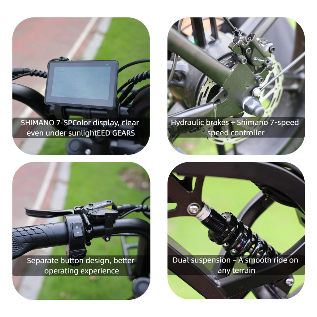 Agila Superb Fat Tyre Ebike