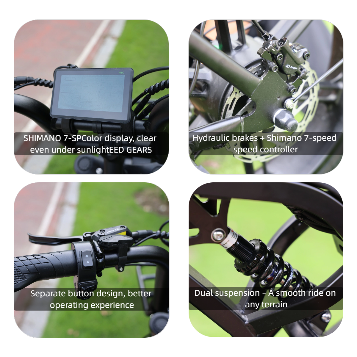 Agila Superb Fat Tyre Ebike