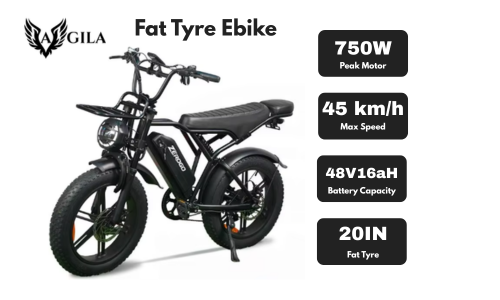 Agila Superb Fat Tyre Ebike