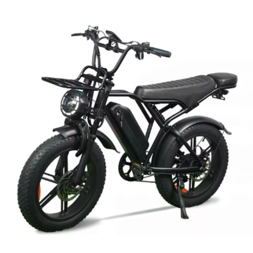 Agila Superb Fat Tyre Ebike