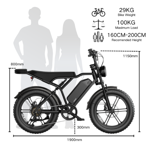 Agila Superb Fat Tyre Ebike